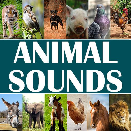 Animal Sounds for Kids Logo