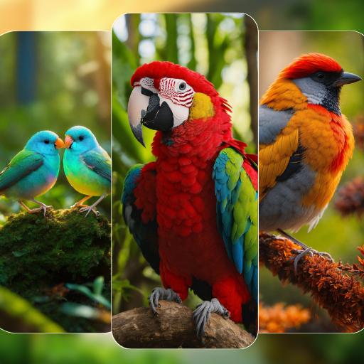 Bird Wallpapers in 4K 2024 logo