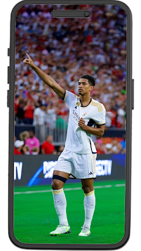 Android application Bellingham Wallpapers screenshort