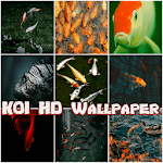 Cover Image of Download KOI HD Wallpaper  APK