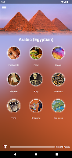 App preview