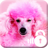 Pink Style Dog  HD Lock icon