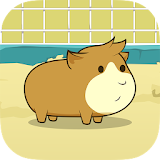 Guinea Pig Evolution - Clicker icon