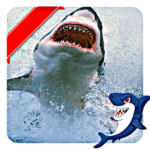 shark wallpaper Download on Windows