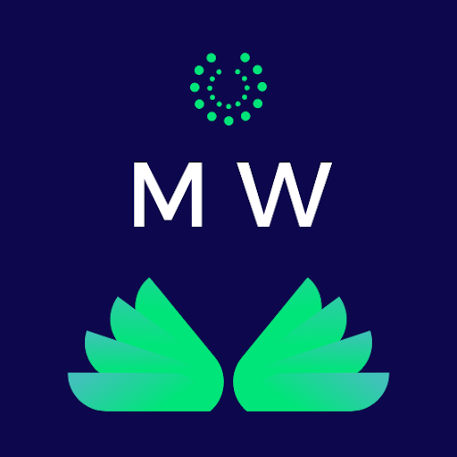 Make Wise logo