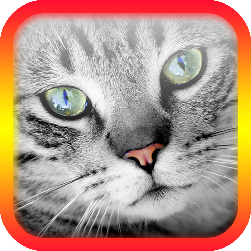 jogo de gatinho – Apps no Google Play