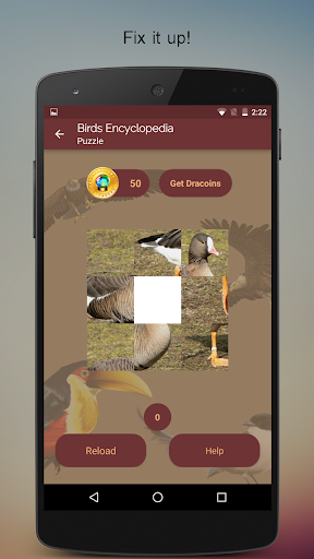 Screenshot of Birds Encyclopedia Offline App