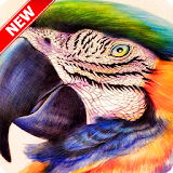 Bird Wallpaper icon
