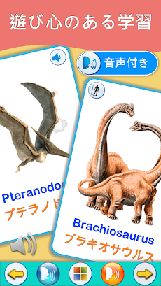 恐竜学習カード PROのおすすめ画像1