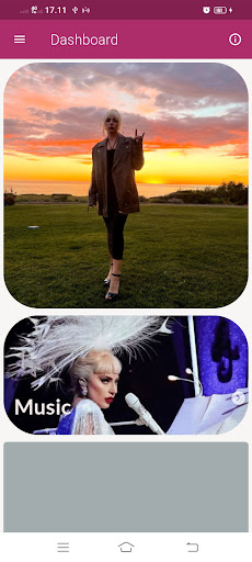 Android application Lady Gaga Songs Offline screenshort