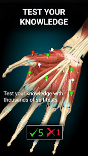 Anatomy Learning - 3D Anatomy  Screenshots 5