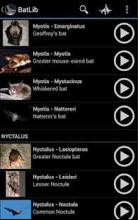 BatLib - Bat calls Screenshot