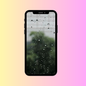 Rainy Day Wallpaper