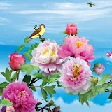 Bird and Flower Live Wallpaper icon