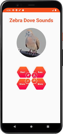 Zebra Dove Sounds Screen 2