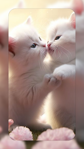 Android application White Cat Wallpapers 4K screenshort
