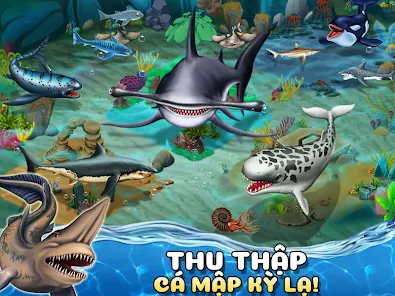 Shark World-Thế Giới Cá Mập - Ứng Dụng Trên Google Play