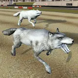 Wild Wolf Racing Game icon