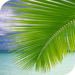 Icon image Palm on Beach Live Wallpaper