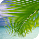 Palm on Beach Live Wallpaper - Androidアプリ