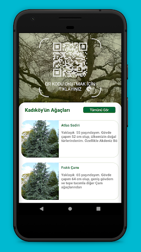 Ağacını Tanı Screen 2