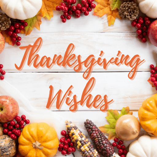 Thanksgiving Wishes 2024 logo