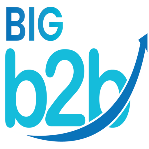 Bigdbiz B2B Order logo