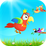 Cover Image of Tải xuống Bird Sort Master: Color Puzzle  APK