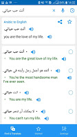 screenshot of Arabic Translator Offline