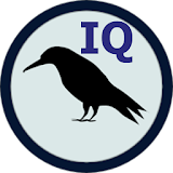 Raven IQ Test icon