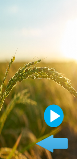 Relaxation Sound For Sleep Screen 2
