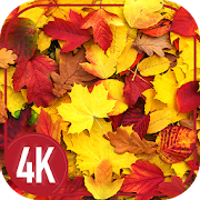 Top 30 Personalization Apps Like Wallpaper with leaves - Best Alternatives