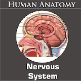 Nervous System icon