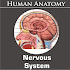Nervous System1.1