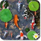 Fishes In Pond Live Wallpaper icon