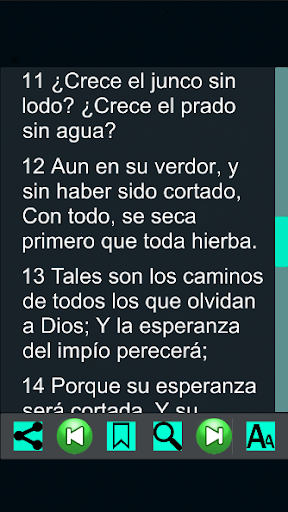 Job Bíblicos (Español) Screen 3