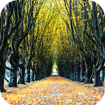 Cover Image of 下载 Pathway Wallpaper HD  APK