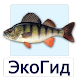 ЭкоГид: Рыбы России