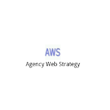 Agency Web Strategy icon