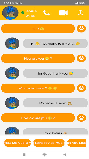 Sanic Fake Call Video Chat