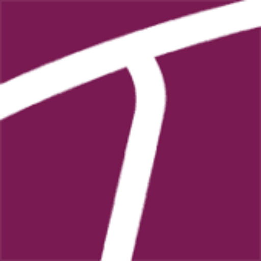 TransIndus logo