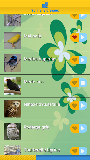 Top Birds Ringtones 2