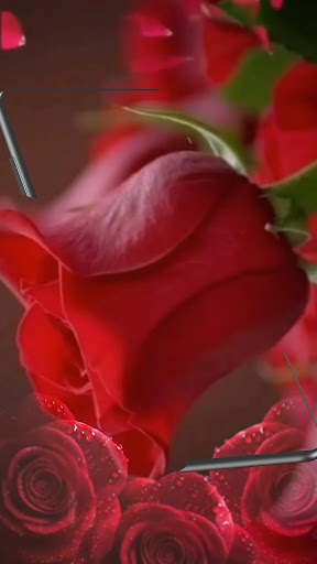 Logo https://play-lh.googleusercontent.com/109SKNAqZ1gIlpTQDhAhpBziTC3A9e84RcJEiDvNETyX1aNwikFPci0K3RYa6yYHc2U