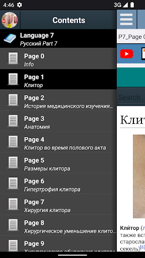Предварительный просмотр приложения