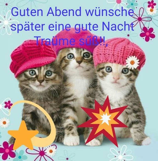 Android application Guten Abend screenshort