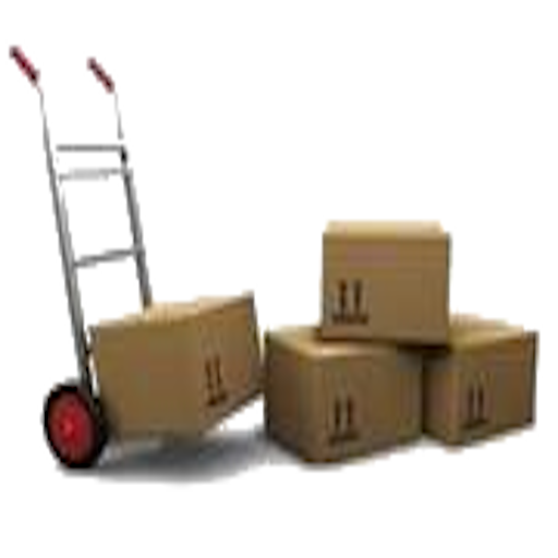 TSM - Livreur logo