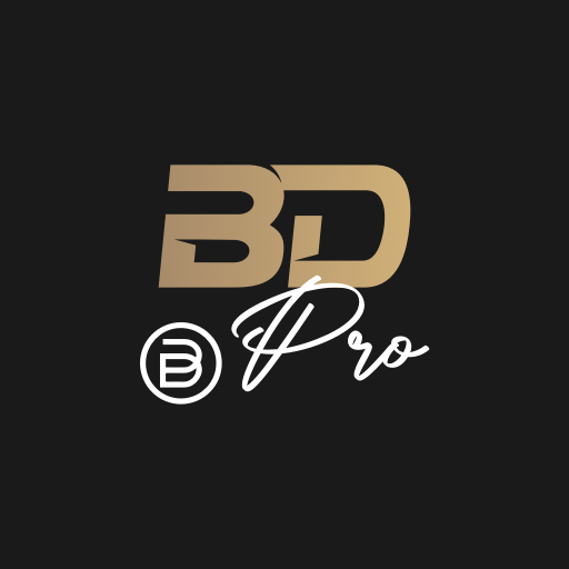 BDPro Download on Windows