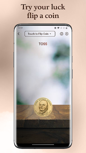 Coin Toss Heads or Tails Screen 2