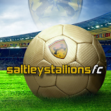 Saltley Stallions FC icon