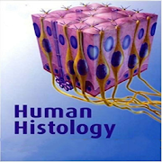 Human Histology  Icon